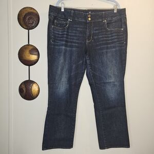 American Eagle Stretch Artist Jeans Size 18